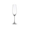 Columba Champagne Set 6Pcs