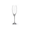 Carduelis Champagne Set 6Pcs