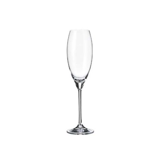 Carduelis Champagne Set 6Pcs